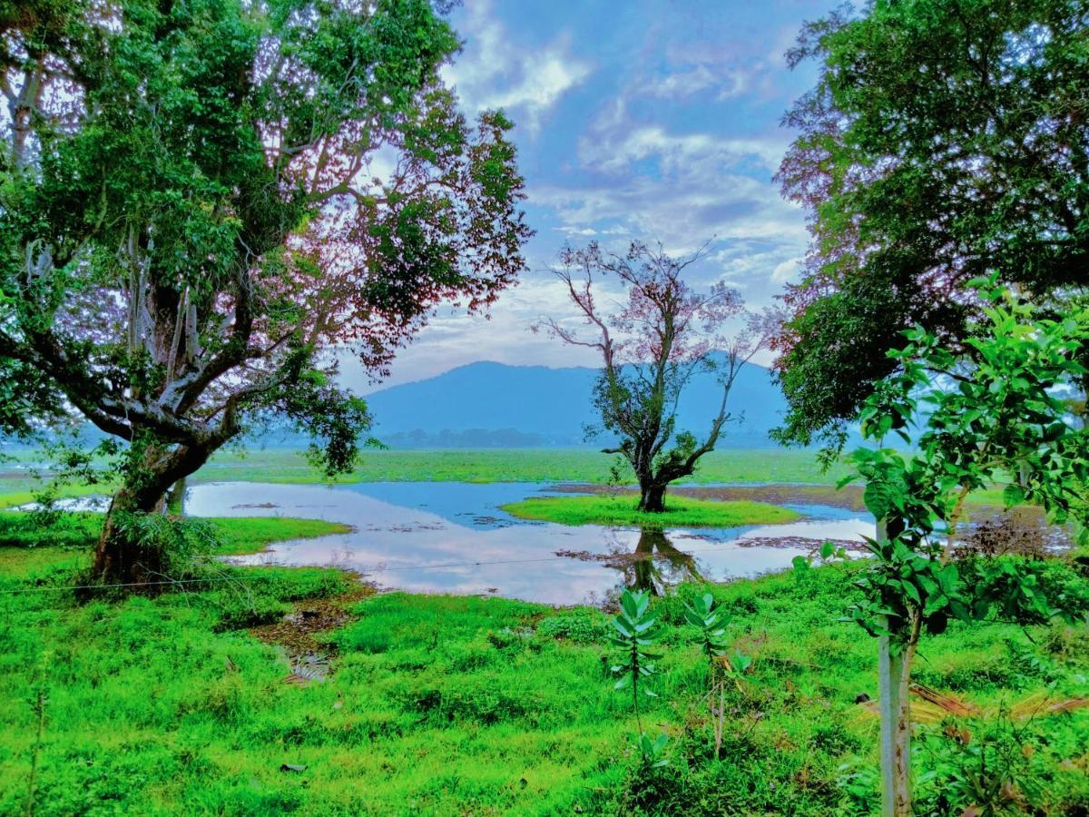 Lake Front Yala Safari Kataragama Esterno foto