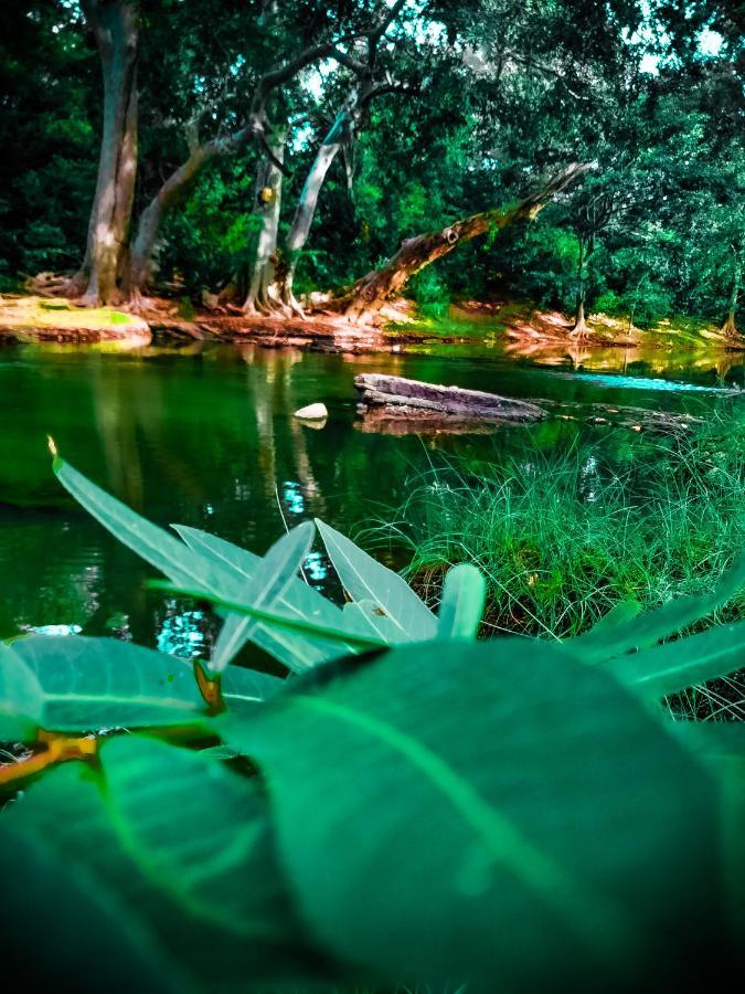 Lake Front Yala Safari Kataragama Esterno foto