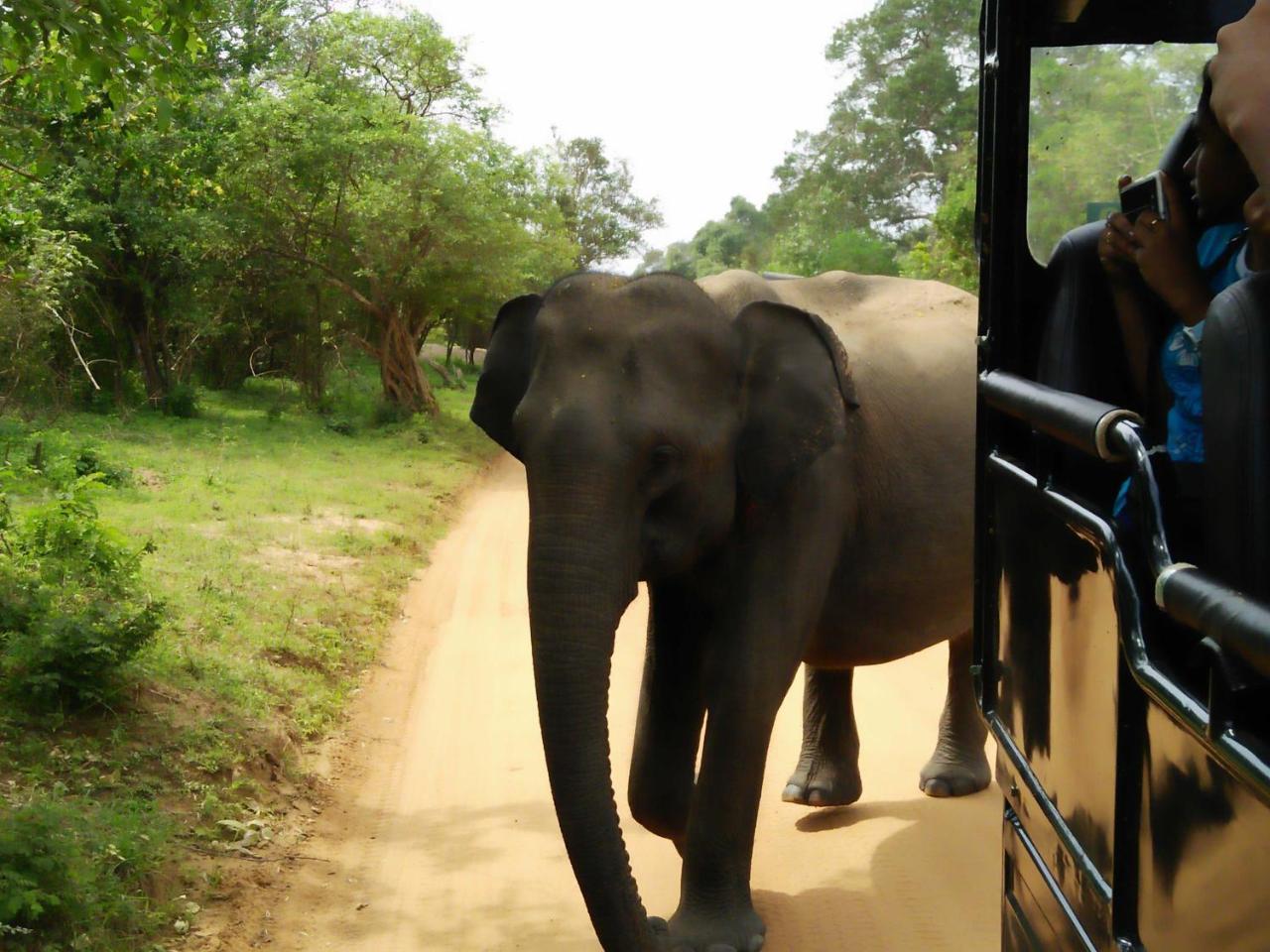 Lake Front Yala Safari Kataragama Esterno foto